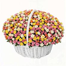 Премиум букет из: Розы в Кохме