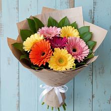 Букет цветов из:  Герберы в Кохме