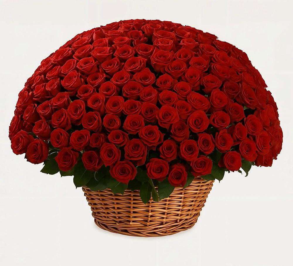 Премиум букет из: Розы в Кохме