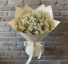 Букет цветов из:  Ромашки #REPLACE_PRED# Кохме