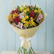 Букет цветов из:  Альстромерии в Кохме