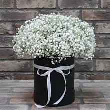 Цветочная композиция из Гипсофила в шляпной коробке в Кохме