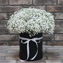 Цветочная композиция из Гипсофила в шляпной коробке в Кохме