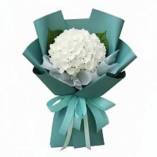Букет цветов из:  Гортензия в Кохме